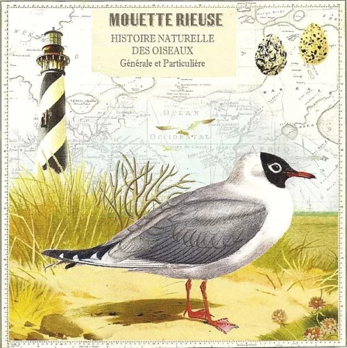 Vierkante kaart Gwenaëlle Trolez - Mouette Rieuse