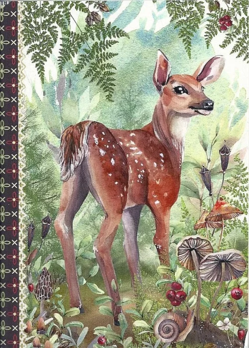 Geïllustreerd schriftje - Forêt