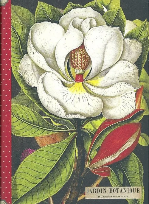 Geïllustreerd schriftje - Fleurs