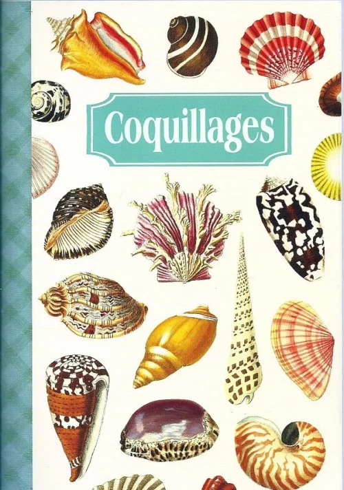 Geïllustreerd notebook -  Coquillages