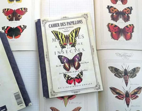 Geïllustreerd notebook -  Cahier des Papillons