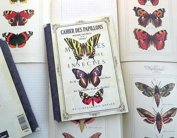 Geïllustreerd notebook – Cahier des Papillons – Voor Dag en Dauw