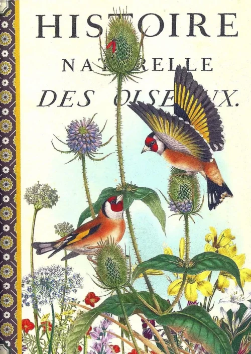 Geïllustreerd schriftje -  Chardonnerets