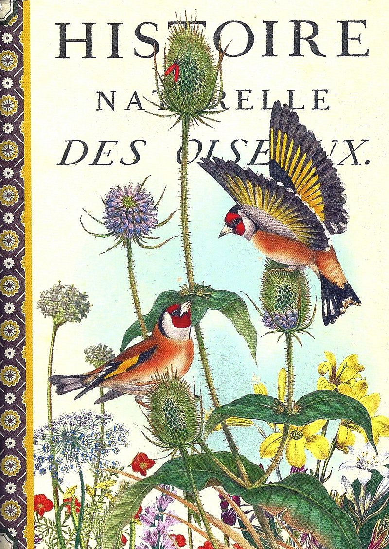 Geïllustreerd schriftje -  Chardonnerets