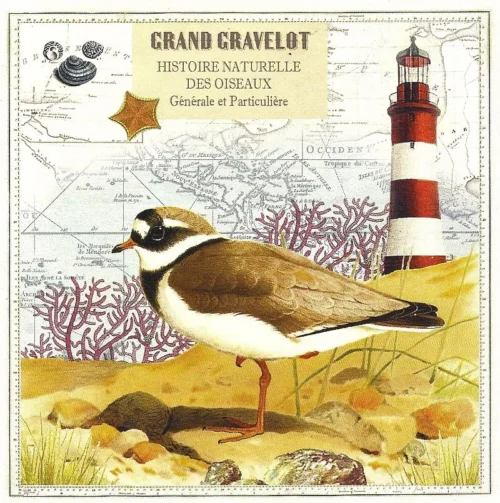 Vierkante kaart Gwenaëlle Trolez - Grand Gravelot