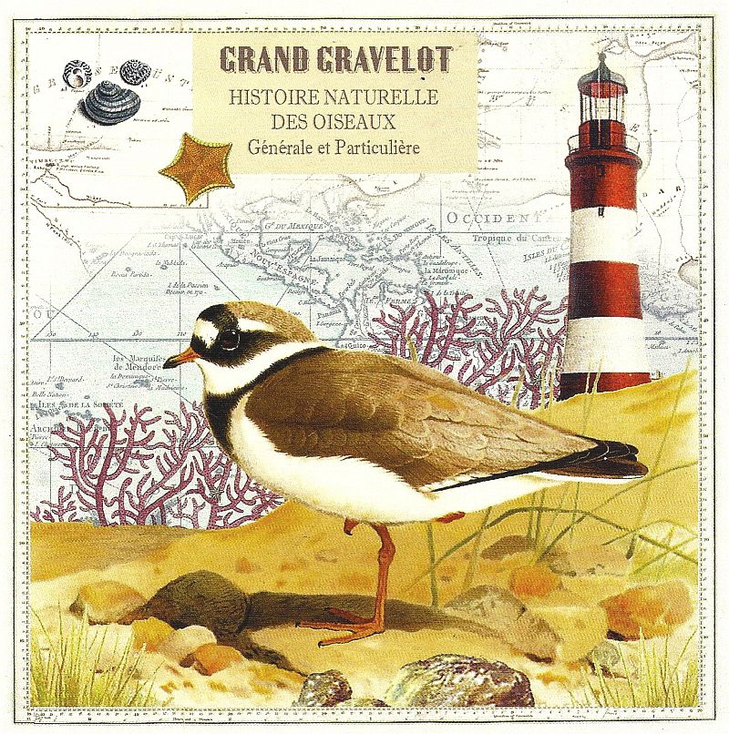 Vierkante kaart Gwenaëlle Trolez - Grand Gravelot