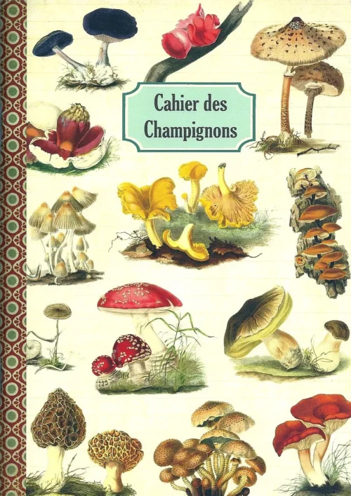 Geïllustreerd notebook - Cahier des Champignons