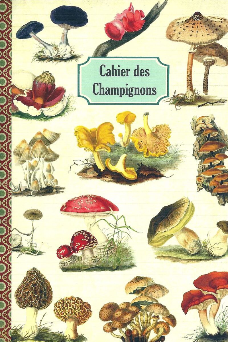 Geïllustreerd notebook - Cahier des Champignons