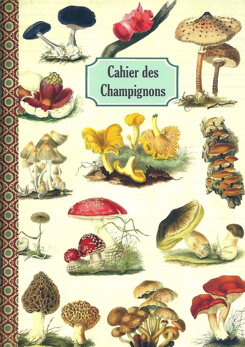 Geïllustreerd notebook - Cahier des Champignons