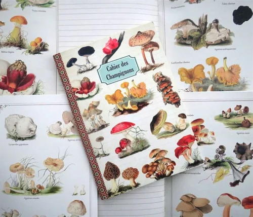 Geïllustreerd notebook - Cahier des Champignons