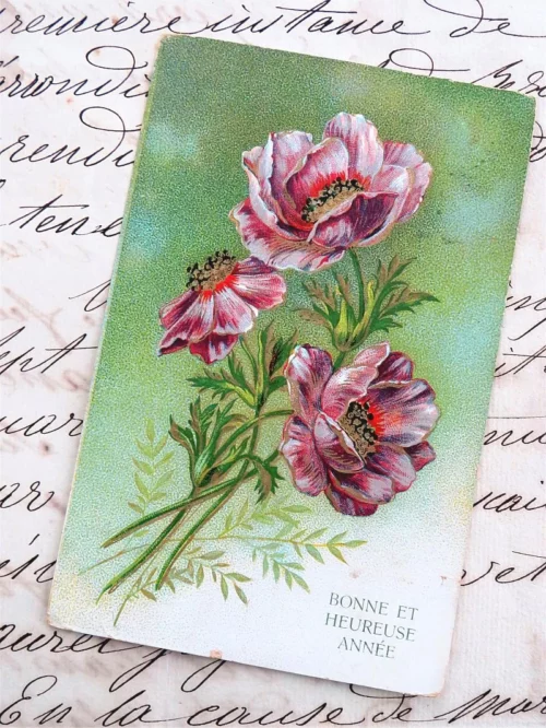 Franse kaart "Bonne et heureuse année"