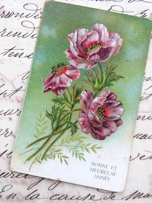 Franse kaart "Bonne et heureuse année"