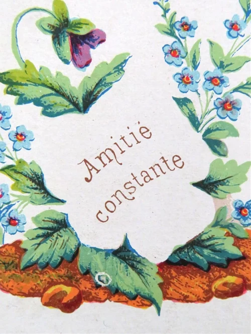 Vriendschapskaartje "Amitié constante"
