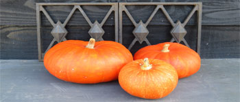 04-herfst