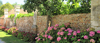 IMG_0746 (3)C