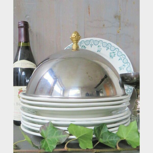 Klassieke foodcover/ cloche