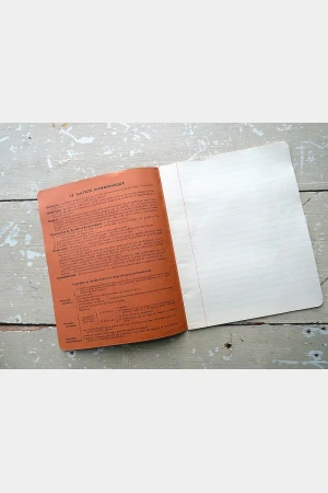 Frans schrift "Un Chant d'Alouette"