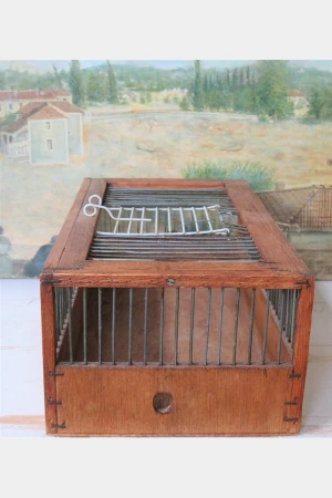 Oude vogelkooi