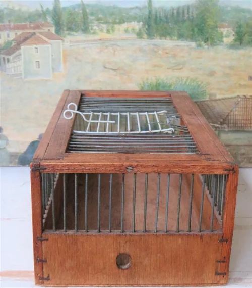 Oude vogelkooi