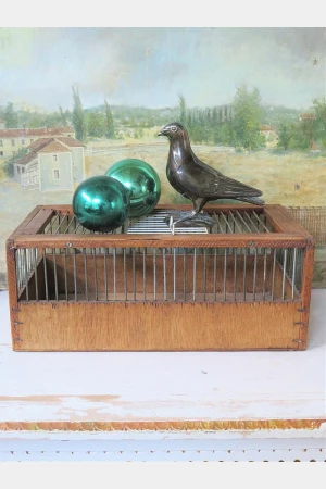 Oude vogelkooi
