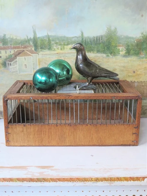 Oude vogelkooi