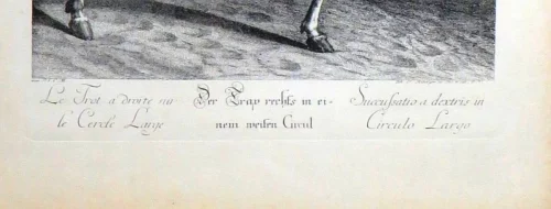 Oude prent “Ruiter te paard” – Joh. El Ridinger