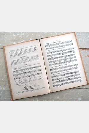 Antiek Frans muziekboek Notions Scolaires “De Musique” par A. Lavignac (1905)