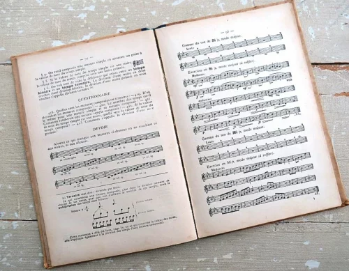 Antiek Frans muziekboek Notions Scolaires “De Musique” par A. Lavignac (1905)