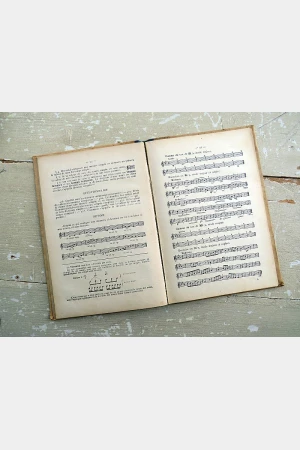 Antiek Frans muziekboek Notions Scolaires “De Musique” par A. Lavignac (1905)