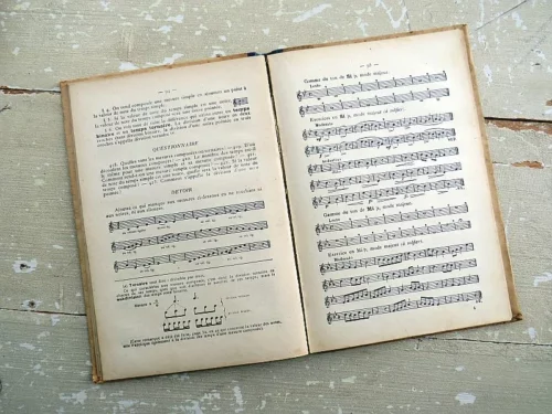Antiek Frans muziekboek Notions Scolaires “De Musique” par A. Lavignac (1905)