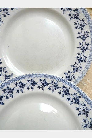 Antiek bord (23 cm) Moulin des Loups Hamage Nord -" BLUETS "  *