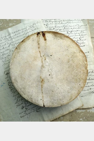 Oud  Frans gipsen medaillon