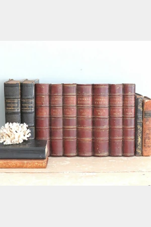 Boekensimulant “Cornhill Magazine”
