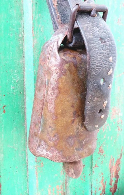Antieke Franse geitenbel “Mont Ventoux”