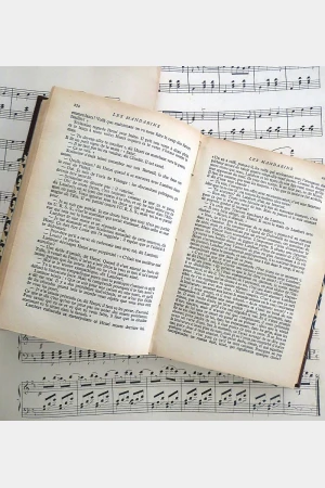 Oud Frans boek “Simone de Bouvoir – Les Mandarins”