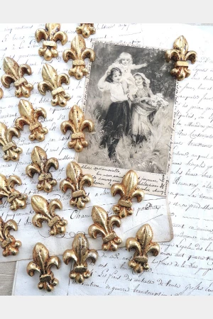 Gietijzeren ornamentje “Lys de France” G