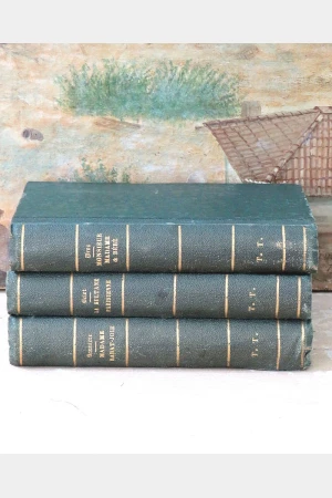 3 Antieke Franse boeken 1881/1878/1867