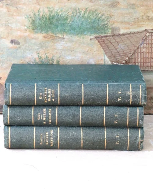 3 Antieke Franse boeken 1881/1878/1867