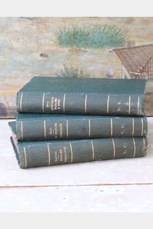 3 Antieke Franse boeken 1881/1878/1867