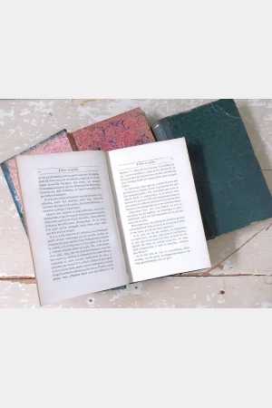 3 Antieke Franse boeken 1881/1878/1867
