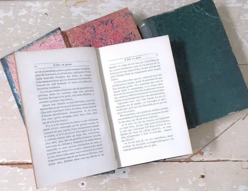 3 Antieke Franse boeken 1881/1878/1867