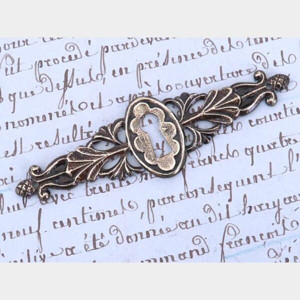 Oud slotplaatje “larix-appeltjes”