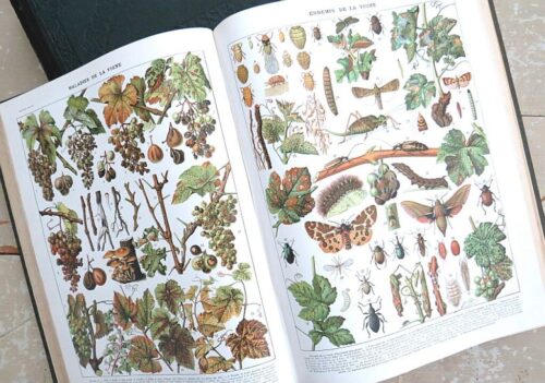 Larousse  Mensuel Illustré Encyclopédique universelle 1907 à 1910