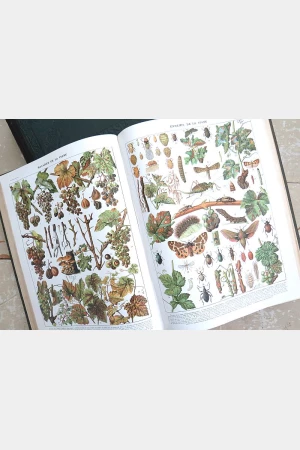 Larousse  Mensuel Illustré Encyclopédique universelle 1907 à 1910