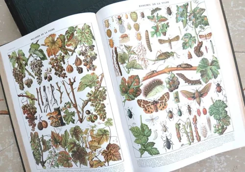 Larousse  Mensuel Illustré Encyclopédique universelle 1907 à 1910