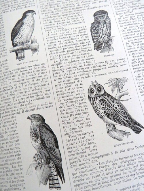 Larousse  Mensuel Illustré Encyclopédique universelle 1914 à 1916