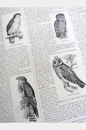 Larousse  Mensuel Illustré Encyclopédique universelle 1914 à 1916
