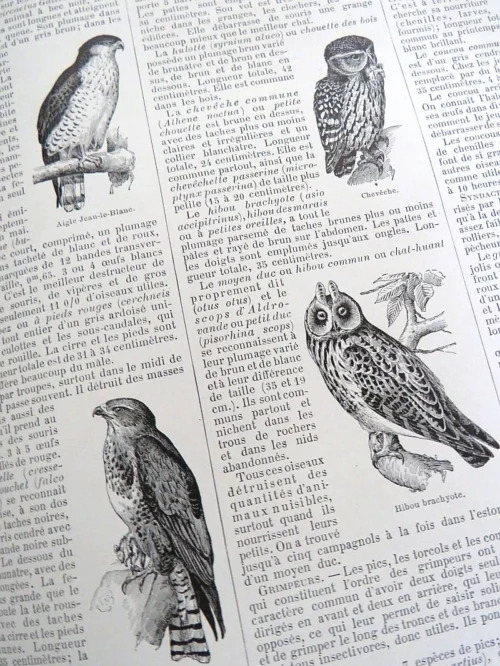 Larousse  Mensuel Illustré Encyclopédique universelle 1914 à 1916
