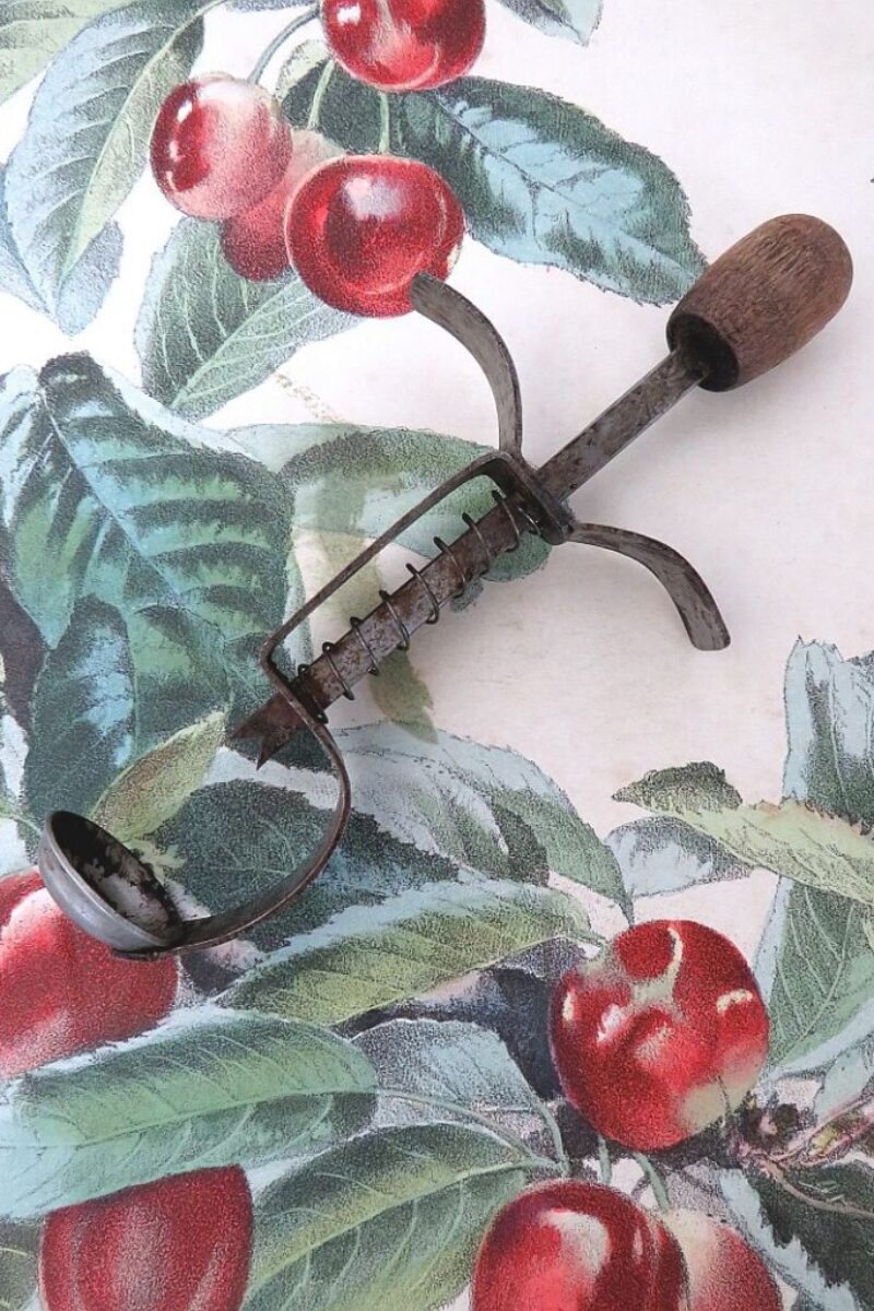 Oude kersen-ontpitter