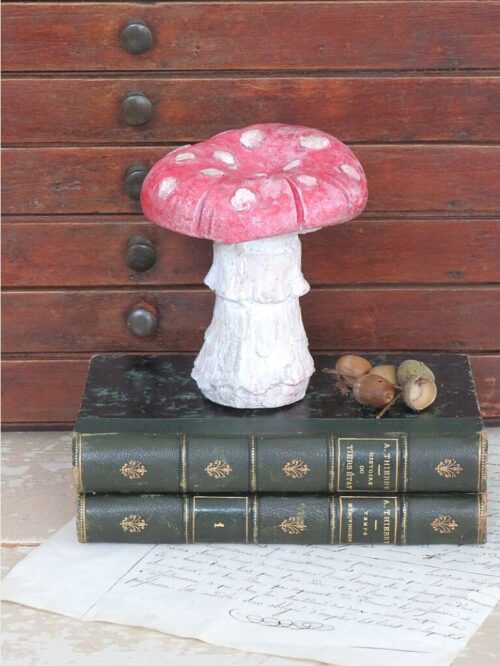 Decoratieve paddenstoel